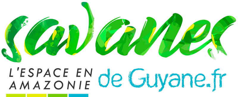 logo-Savanes